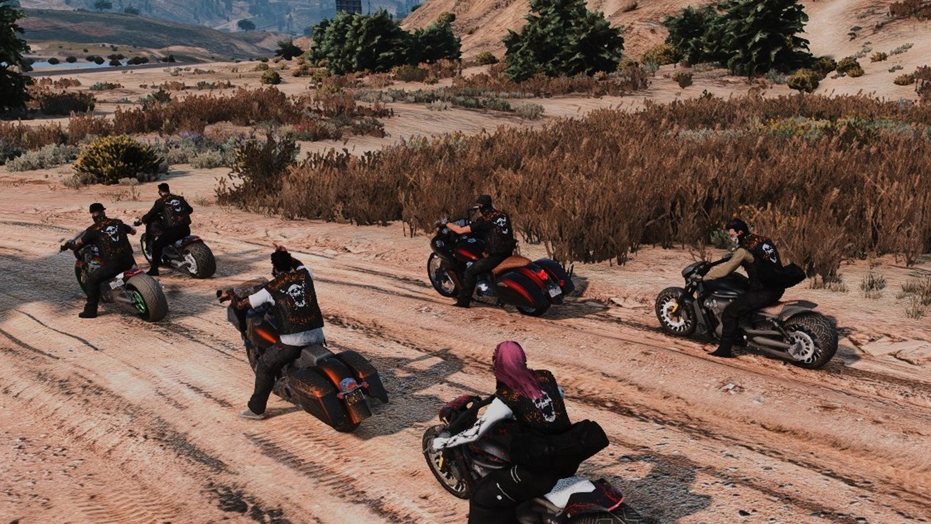 Groupes de motards
